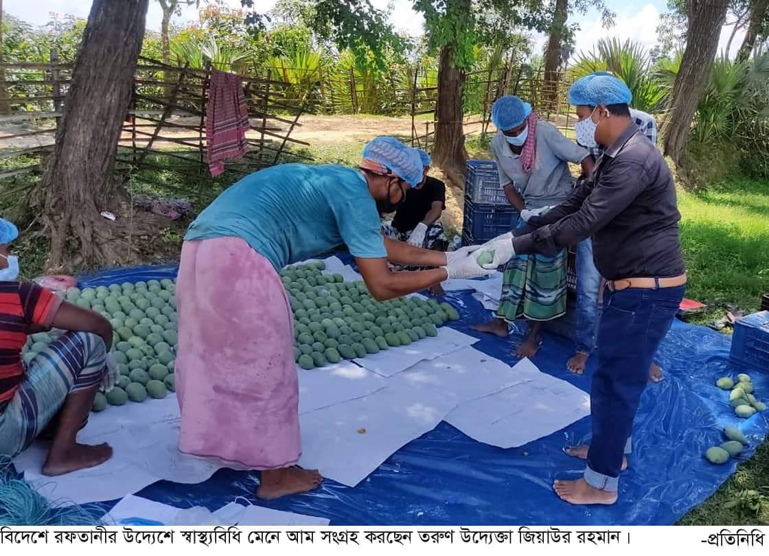 নওগাঁর সাপাহারের ৩টন আম গেলো নেপাল ও কুয়েতে